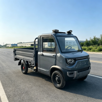Mini véhicule électrique pour adultes, petite voiture, camionnette, camionnette électrique à énergie nouvelle, véhicule de mobilité à quatre roues