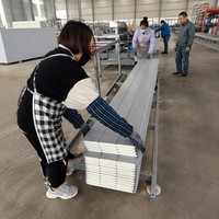 Revêtement extérieur pour maison auto-construite, panneau facile à installer