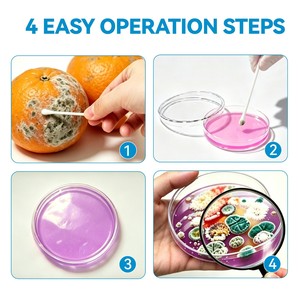 <strong>Mold</strong> Test <strong>Kit</strong> for HVAC, Surfaces &amp; Indoor Air Quality, <strong>DIY</strong> Black <strong>Mold</strong> Detector <strong>Testing</strong> <strong>kit</strong> at Home - Product Image 2