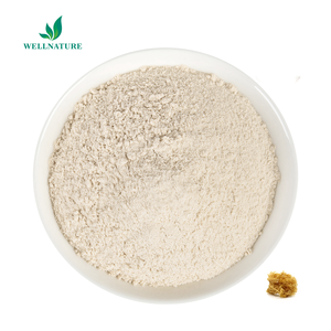 コンドラスクリスプス海苔エキス<span class=keywords><strong>100%</strong></span> 天然海苔粉末工場供給バルク - Product Image 1