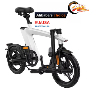 Nouveautés : Vélo électrique pliable <span class=keywords><strong>pas</strong></span> <span class=keywords><strong>cher</strong></span> H1 36V 10AH 250W avec moteur avant, pneus larges de 14 pouces, cadre en alliage d'aluminium et frein à disque pour femmes - Product Image 2