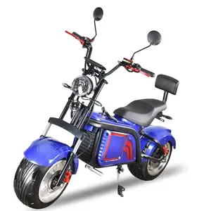 2024 CE EEC COC hot selling city coco 80km/h 2000W/3000w 60V12ah/50ah 12 inch Lithium electric bike scooter motorcycle