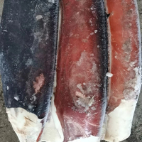 Nueva Temporada: Filetes de Calamar Peruano Congelados con Piel, Económicos