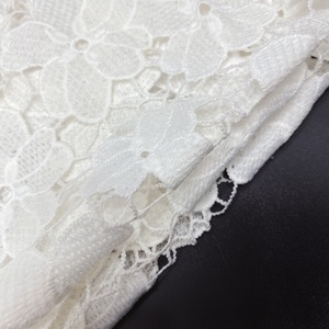 Beautiful Fashion Lace Dress Accessories Hollow Flowers <strong>Embroidered</strong> Various <strong>Fabric</strong> for Clothing &amp; Shoes Decoration - Product Image 4