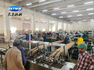 Machine à sandwichs Skywin de haute qualité, contrôlée par PLC, en acier inoxydable 304, pour biscuits moelleux et durs, fourrés à la confiture, à deux compartiments et une couleur - Product Image 2