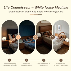 Machine à bruit blanc HiFiD, sons <span class=keywords><strong>pour</strong></span> le sommeil, réveil lumineux OEM, radio FM, LED RGB <span class=keywords><strong>pour</strong></span> bébé, adulte, maison, bureau - Product Image 5