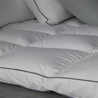 Surmatelas en coton de style hôtel 5 étoiles, épaissi, chaud, respirant, lavable, anti-acariens, antibactérien, usage hospitalier