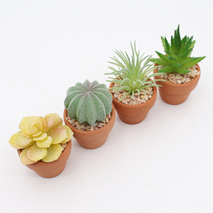 Plantas <span class=keywords><strong>Suculentas</strong></span> Artificiales <span class=keywords><strong>con</strong></span> Decoración de Maceta de Arcilla, Macetas de <span class=keywords><strong>Flores</strong></span> de Plástico Personalizadas al por Mayor, <span class=keywords><strong>Flores</strong></span> y Plantas Preservadas PA83 - Product Image 4
