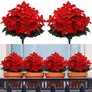 Vente en Gros Simulation 5 Fourchettes Fausses Fleurs de Noël Chèvrefeuille Artificiel Décoration d'Intérieur de Vacances Fleurs de Simulation - Product Image 1