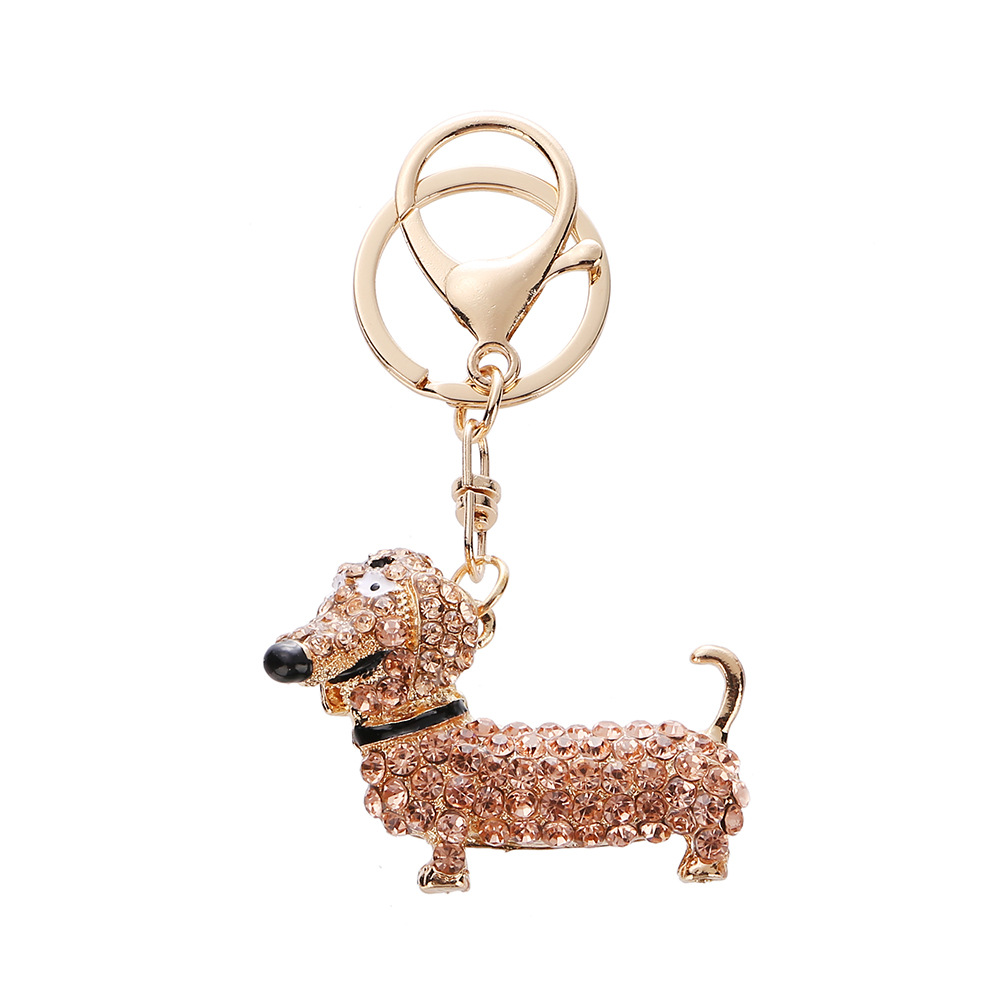 Pet dachshund-chocolate color