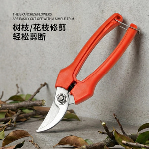 Nice Pruning <b>Shears</b> Carbon Steel 1cm Max Cut Manual Garden <b>Tool</b> For Branches And Flowers - Product Image 1