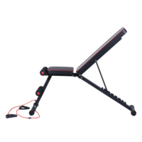 Banc de musculation professionnel pour exercices de force, banc de gym avec haltères pour sit-ups