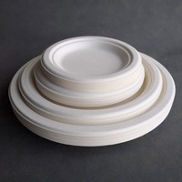 Assiettes jetables rondes en bagasse de canne à sucre biodégradables et compostables de 9 pouces pour pique-nique