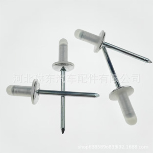Remache ciego de 0.125 pulg. de diámetro, cabeza de 5/16 pulg., autorroscante, metálico, para paneles de puerta, altavoces y protectores de parachoques de Toyota Corolla, RAV4, Vios - Product Image 5