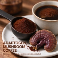 Poudre de café aux champignons adaptogènes OEM ODM Marque privée Vente en gros Mélange de champignons Adaptogènes pour la concentration et les compléments alimentaires