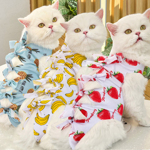 Vêtement de Stérilisation pour Chat : Gilet Anti-Léchage à Motif Fraise en Polyester, Design Adorable, Vêtement Post-Opératoire pour Chats - Product Image 1