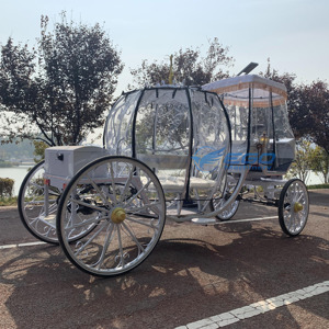 Wedding Horse Carriage <b>White</b> Pumpkin Carriage with Customizable LED Lamp Smart Lighting System and Rain Curtain - Product Image 6