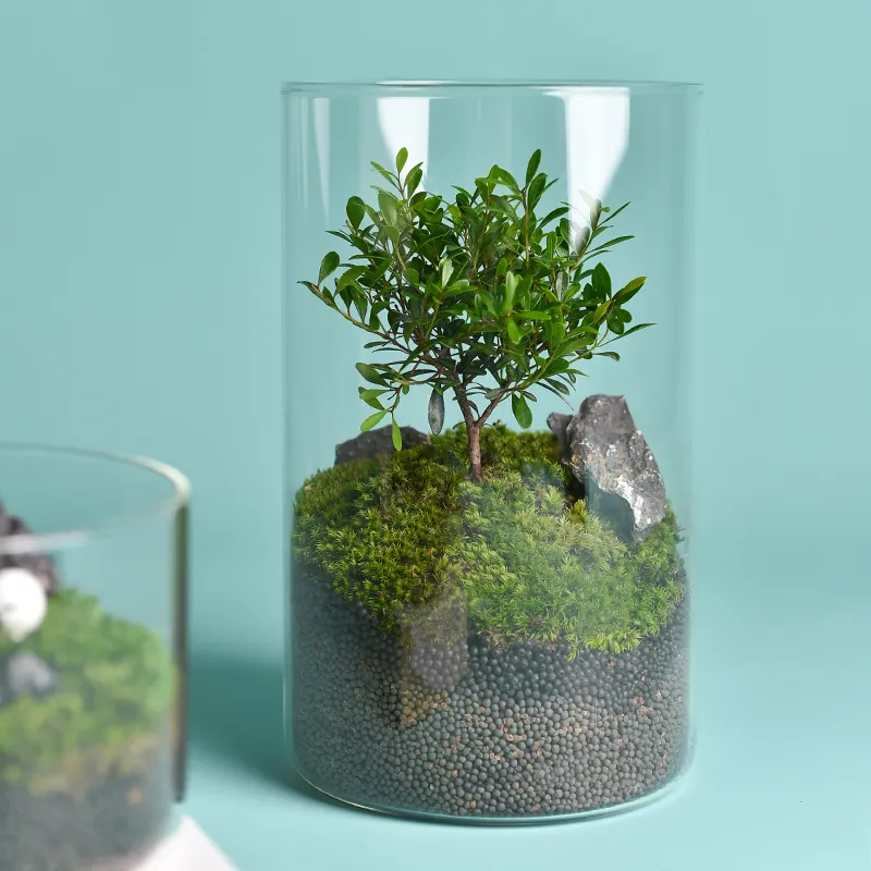 Plantas artificiales en macetas de vidrio geométricas, Terrario de contenedor de plantas suculentas, macetas, jarrón de vidrio con micropaisaje