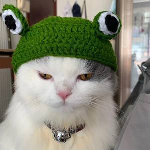 Chapeau pour <span class=keywords><strong>chat</strong></span> et chien en forme de grenouille, accessoires pour animaux de compagnie, vêtements en crochet <span class=keywords><strong>tricot</strong></span>és à la main, mode mignonne - Product Image 6