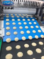 Machine automatique Skywin pour la fabrication de petits biscuits, type plateau, pour biscuits mous, nouvelle moulatrice rotative, meilleur prix