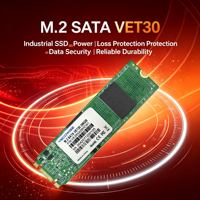SSD Industri M.2 2280 SATA yang Dapat Disesuaikan, Tahan Getaran dan Benturan Tinggi untuk Perangkat Keras Komputasi Terpasang di Kendaraan