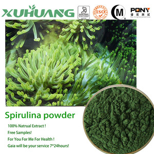 Terlaris Bubuk Ekstrak <span class=keywords><strong>Spirulina</strong></span> Organik Alami Murni Bubuk <span class=keywords><strong>Spirulina</strong></span> Platensis Sampel Gratis Tersedia - Product Image 3