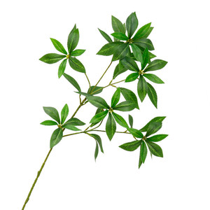 Vente en gros de feuilles vertes artificielles de style nordique de haute qualité pour la décoration de table à la maison, salon, magasin - Product Image 6