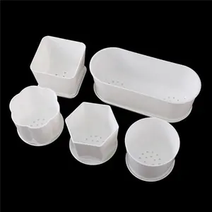 Quadrado Vaso de Flores de plástico Branco Rodada Jardim Poligonais Com Bandeja Interior Pequeno Viveiro de Plantas Suculentas Potes