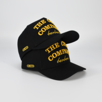 2025 Nieuwste stijl waterdichte Terry 5-panel sportieve streetstyle baseballcap met fruitprint, rechtstreeks van de fabriek, met korting