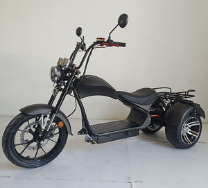 Batería para Triciclo Eléctrico de <span class=keywords><strong>Tres</strong></span> <span class=keywords><strong>Ruedas</strong></span>, Precio de Fábrica, para Motocicleta Eléctrica, Citycoco - Product Image 6