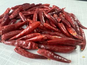 سعر جيد حار بيع الفلفل الحار الطبيعي المجفف الأحمر الساخن الفلفل الحار كبير جاف الفلفل الأحمر مع السيقان - Product Image 6