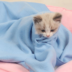 Literie en velours pour animaux de compagnie, Premium, <span class=keywords><strong>tapis</strong></span> avec pattes, <span class=keywords><strong>tapis</strong></span> doux et chaud, vente en gros, - Product Image 6