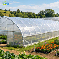 Serre tunnel arche grande en acier galvanisé avec film plastique pour culture de tomates, fenêtre de ventilation portable, vente en gros