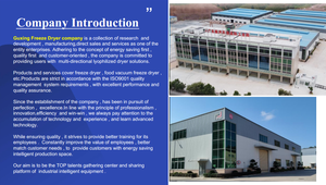 เครื่องอบแห้งแบบแช่เยือกแข็งสุญญากาศ GX Industrial Stainless Steel สำหรับอาหารสัตว์เลี้ยง ขนมสุนัข เนื้อวัว อุปกรณ์อบแห้งแบบแช่เยือกแข็งคุณภาพสูง - Product Image 5