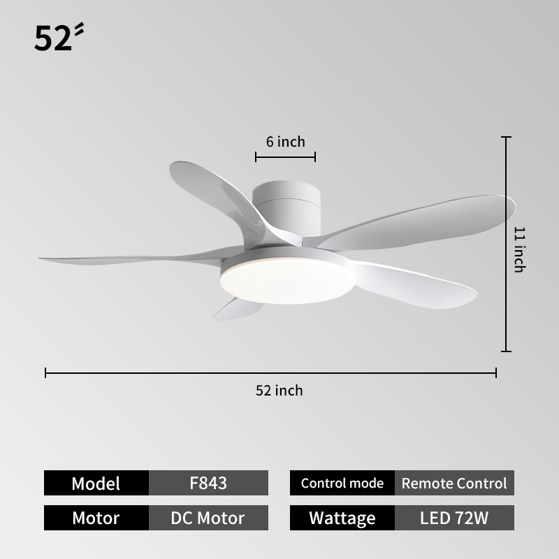52IN-White