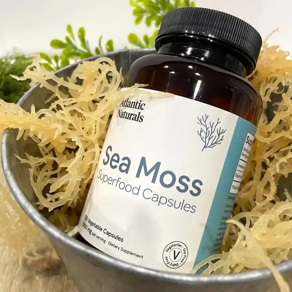 OEM Hochwertiger Seamoss-Extrakt Seamoss-Misch pulver Irish Sea Moss-Kapseln Sea Moss Gummie