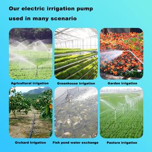 Bomba centrífuga en línea horizontal de una etapa eléctrica personalizada para sistema de riego agrícola, bomba de refuerzo industrial automática para tuberías - Product Image 6