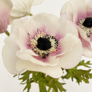 J-054 de anémona artificial de alta calidad, flores decorativas para boda, Hotel, florero para el hogar - Product Image 5