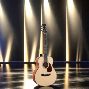 Hailun Hl <span class=keywords><strong>1</strong></span> nhạc cụ & phụ kiện guitar thanh lịch - Product Image 6