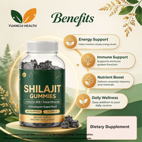 Gummies d'extrait de Shilajit végétaliennes en gros, sans OGM, saveurs assorties, à croquer, service ODM