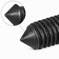 Vis sans tête à six pans creux M3 M4 M5 M6 M8 M10 M12 M14 M16 M18 M20 M24 à pointe conique en acier allié haute résistance oxydé noir