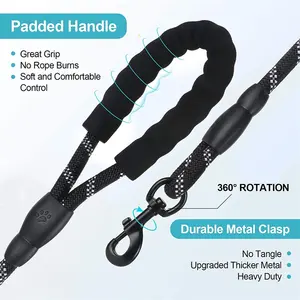 Top Seller Custom Nylon Gurtband Heavy Duty 1,5 m/2,0 m/3,0 m Reflektierende Streifen Training Pet Dog Leash Rope mit drehbarem Karabiner