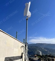 Générateur Hybride Éolien-Solaire 5 kW Résidentiel Monté sur Toit, Petite Éolienne à Axe Vertical en Hélice pour Maison et Ferme