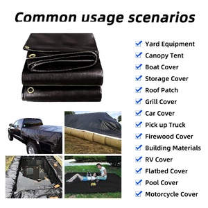 मिलियन चीन 8x10 10x6 काला हेंडपे पॉली तिरपिन तरबूज आपूर्तिकर्ता कंपनी कारखाने - Product Image 6