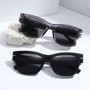 Lunettes de soleil polarisées œil de chat rétro 2026 personnalisables avec logo pour hommes et femmes, protection UV400, monture TR90, idéales pour la conduite - Product Image 5