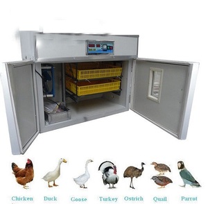 Thiết Bị Ấp Trứng 100 Tự Động Hoàn Toàn Máy Ấp Trứng Và Ấp Trứng - Product Image 4