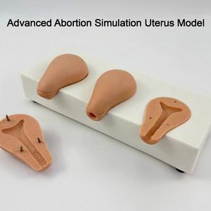 Simulateur avancé de pratique <span class=keywords><strong>utérine</strong></span>, modèle de formation gynécologique multi-étapes pour l'enseignement des compétences - Product Image 2