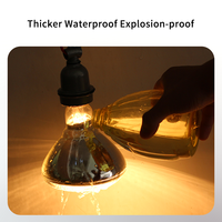 Musyder 175W Lampe chauffante infrarouge étanche pour animaux de compagnie Brooder Chicks Poultry Hatch Warming Bulb Farm Use