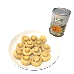 Champiñones en conserva en salmuera con sabor salado, en lata <span class=keywords><strong>de</strong></span> 400g, champiñones enlatados <span class=keywords><strong>a</strong></span> buen <span class=keywords><strong>precio</strong></span> <span class=keywords><strong>de</strong></span> <span class=keywords><strong>fábrica</strong></span> - Product Image 2