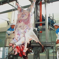 Machine industrielle d'abattage de bétail en acier inoxydable, équipement d'abattoir haute performance, outil d'abattage